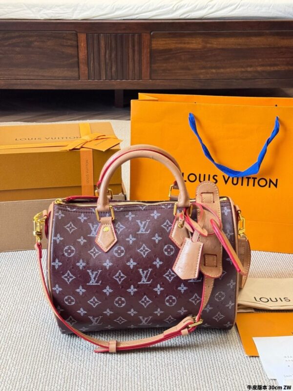 Modern Style Trendy LV Handbag L2090
