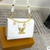 Modern Style Trendy LV Handbag L2075
