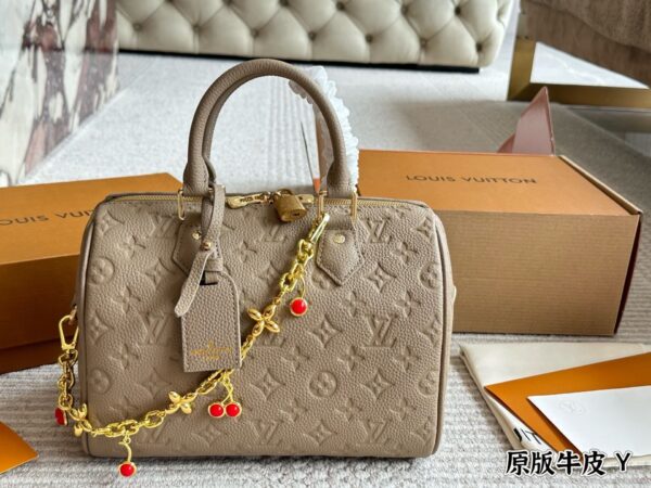 Modern Style Trendy LV Handbag L2072