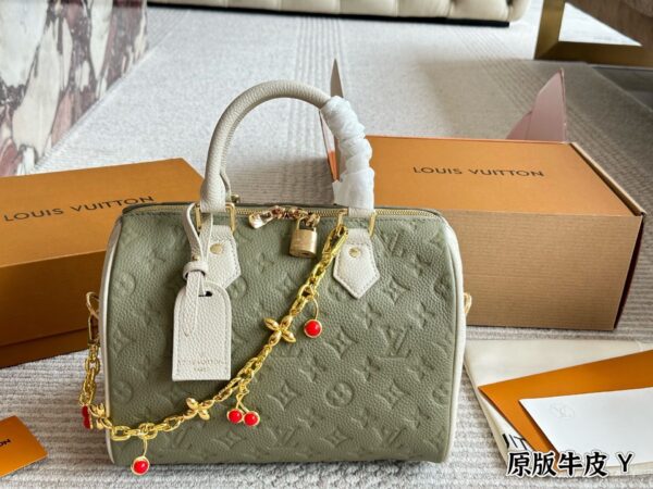 Modern Style Trendy LV Handbag L2072