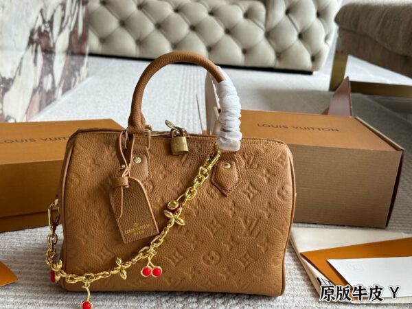 Modern Style Trendy LV Handbag L2072
