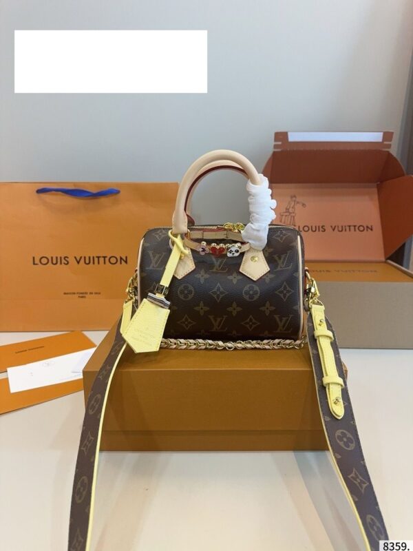 Modern Style Trendy LV Handbag L2057