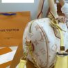 Modern Style Trendy LV Handbag L2057