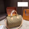 Modern Style Trendy LV Handbag L2056