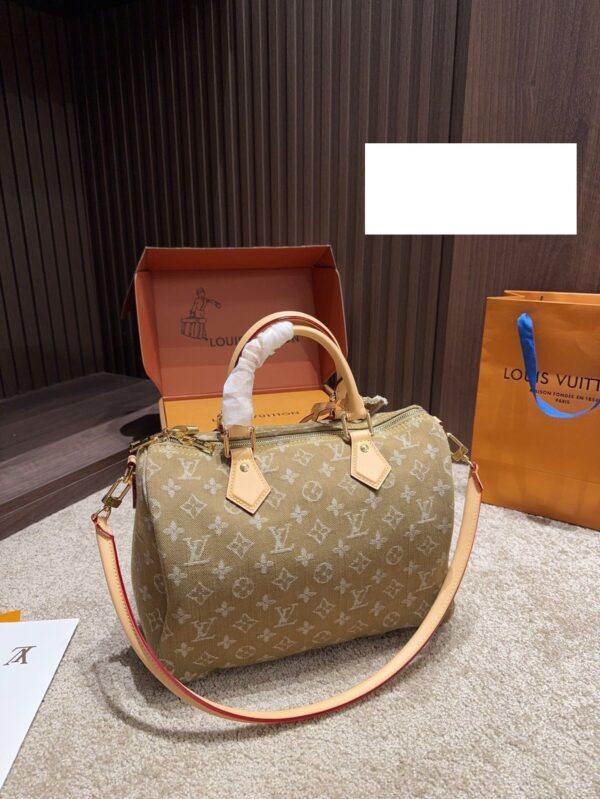 Modern Style Trendy LV Handbag L2056