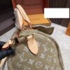 Modern Style Trendy LV Handbag L2056
