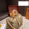 Modern Style Trendy LV Handbag L2056