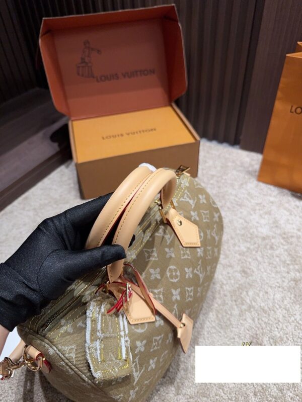 Modern Style Trendy LV Handbag L2056