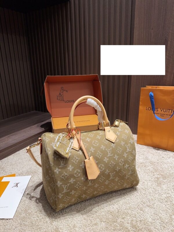 Modern Style Trendy LV Handbag L2056
