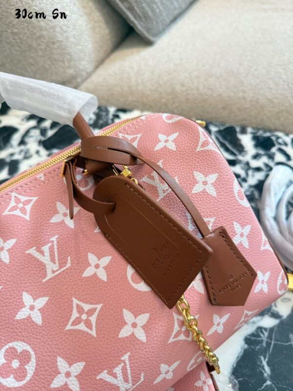 Modern Style Trendy LV Handbag L2048
