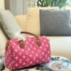Modern Style Trendy LV Handbag L2048