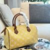 Modern Style Trendy LV Handbag L2048