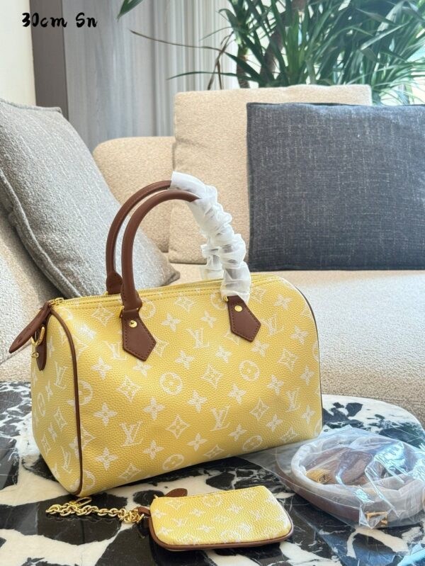 Modern Style Trendy LV Handbag L2048