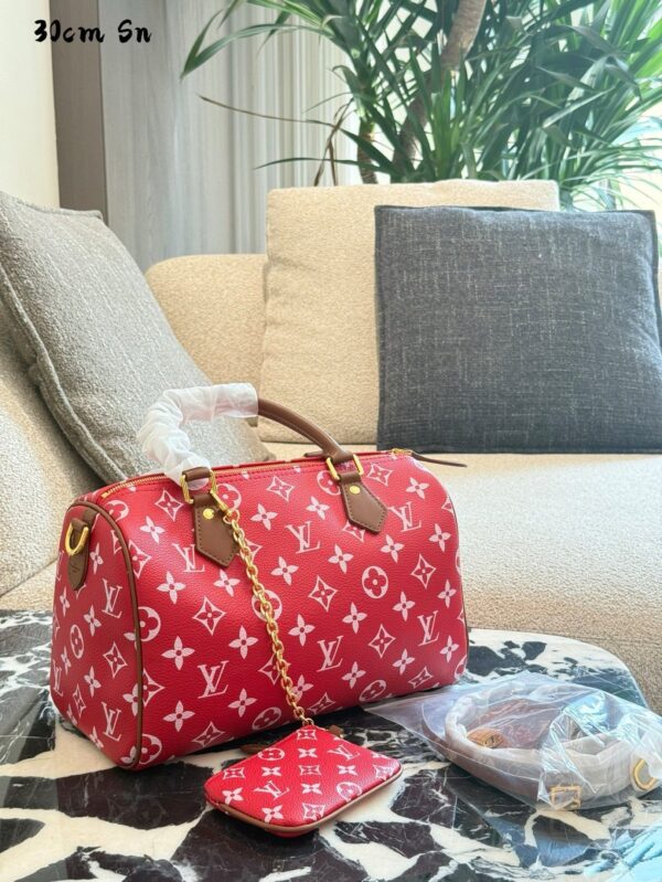 Modern Style Trendy LV Handbag L2048