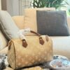 Modern Style Trendy LV Handbag L2048