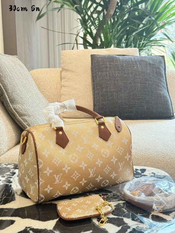 Modern Style Trendy LV Handbag L2048