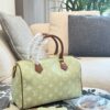 Modern Style Trendy LV Handbag L2048