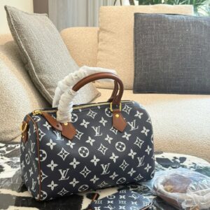 Modern Style Trendy LV Handbag L2048