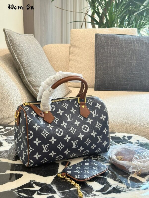 Modern Style Trendy LV Handbag L2048