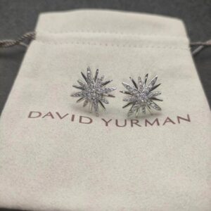 New Collection Fashion David Yurman Earring 066