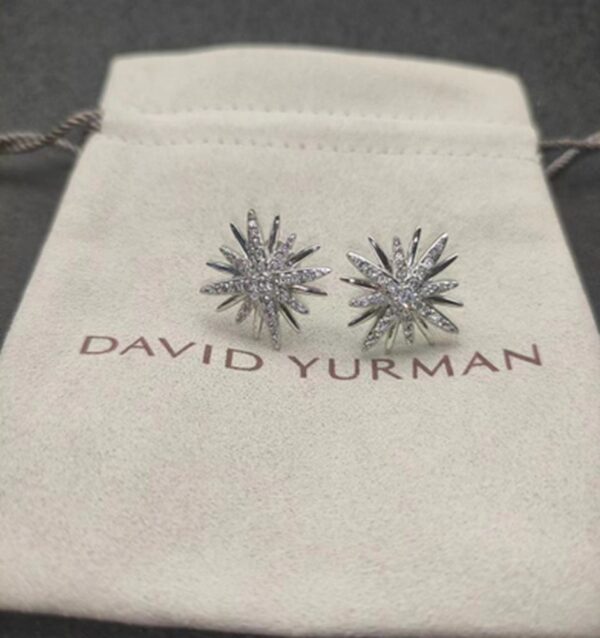 New Collection Fashion David Yurman Earring 066