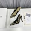 New Collection Fashion Women Dior Shoes 042
