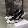 New Collection Fashion Women Dior Shoes 041