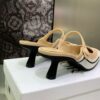 New Collection Fashion Women Dior Shoes 040