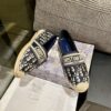 New Collection Fashion Women Dior Shoes 039