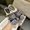 New Collection Fashion Women Dior Shoes 038