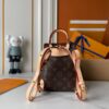 Iconic LV Handbag M13081-M46836.1