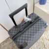 New Collection Fashion Luggage LV D301
