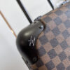 New Collection Fashion Luggage LV D301