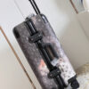 New Collection Fashion Luggage LV D301
