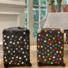 New Collection Fashion Luggage LV3855