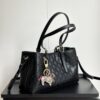 Iconic GG Handbag 815214