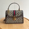 Iconic GG Handbag 651055.1