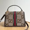 Iconic GG Handbag 651055