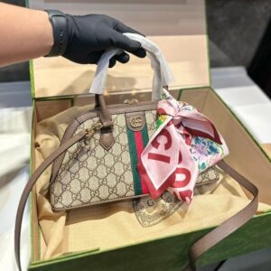 Modern Style Trendy Bag G4108