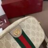 Modern Style Trendy Bag G4093