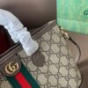 Modern Style Trendy Bag G4097