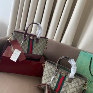 Modern Style Trendy Bag G4097