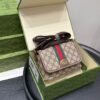 Modern Style Trendy Bag G4110