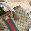 Modern Style Trendy Bag G4106