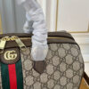 Modern Style Trendy Bag G4087