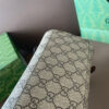 Modern Style Trendy Bag G4079