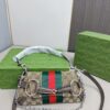 Modern Style Trendy GG Handbag G473