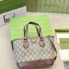 Modern Style Trendy Bag G4004