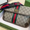Modern Style Trendy Bag G4018