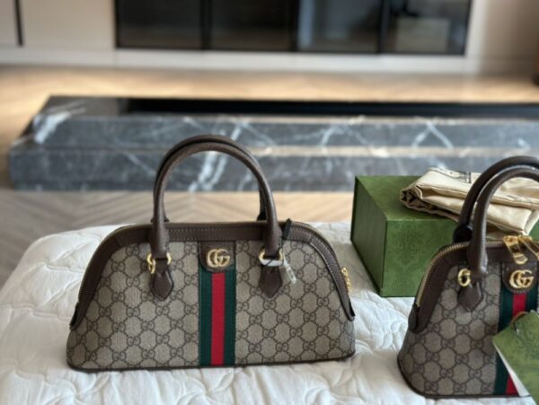 Modern Style Trendy Bag G4003